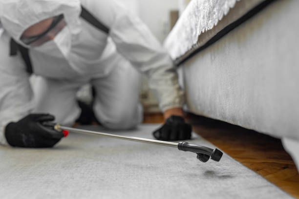 Professional Bed Bug Control technician working in Sayville, NY